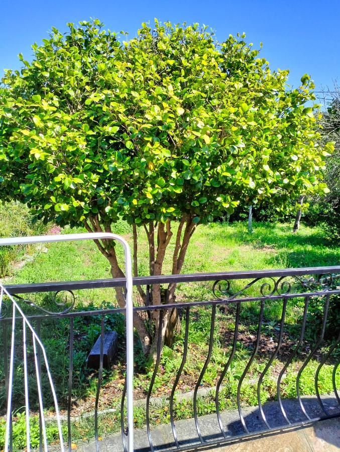Maison Individuelle Padulella Sisco Екстериор снимка
